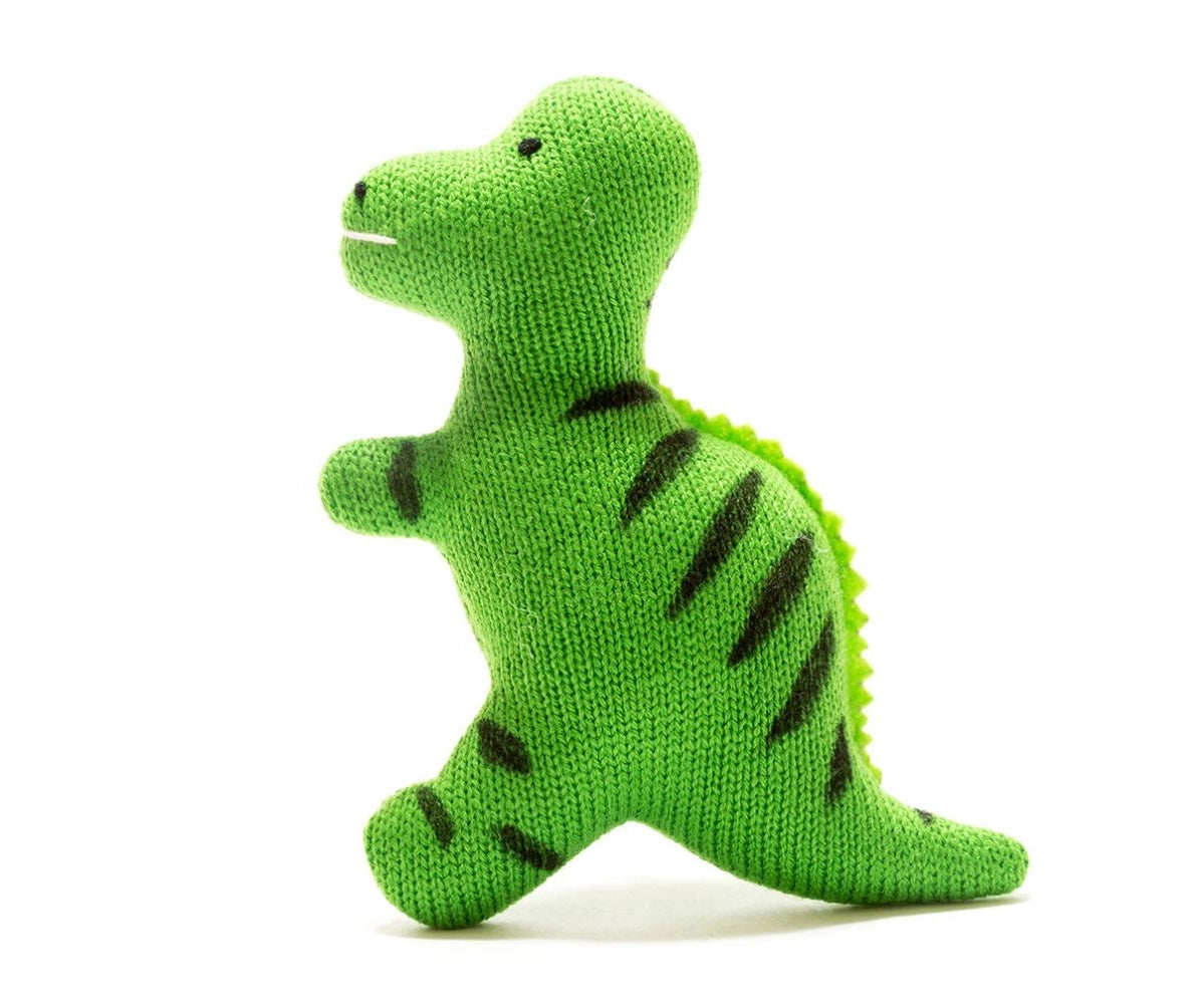 T-Rex Baby Crinkle Toy