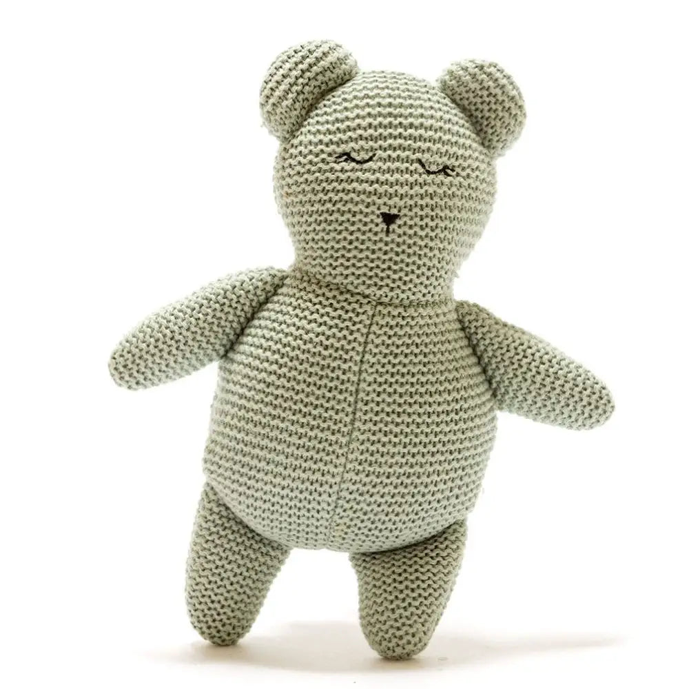 Organic Cotton Teddy Bear - Teal